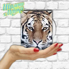 тигр, tiger, 2022